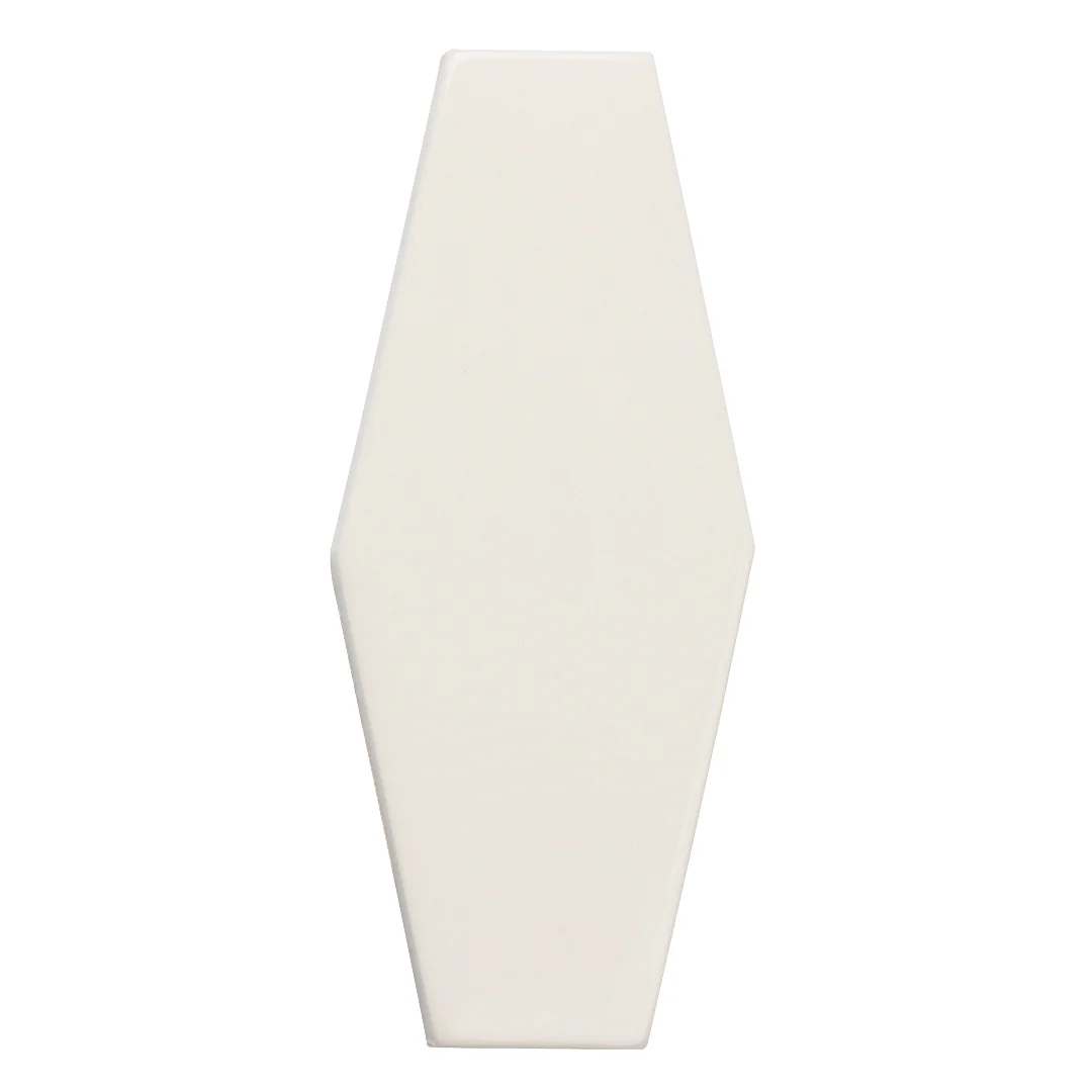 6th Avenue Hexagon 2X6 Canvas Gloss