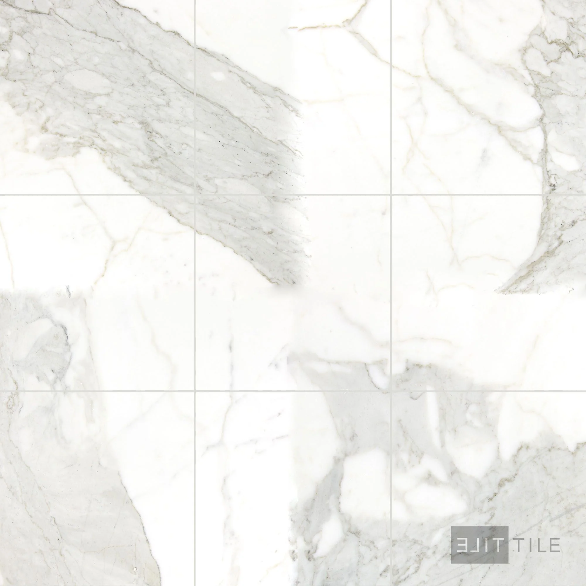 Calacatta Gold Marble 12X12 Honed