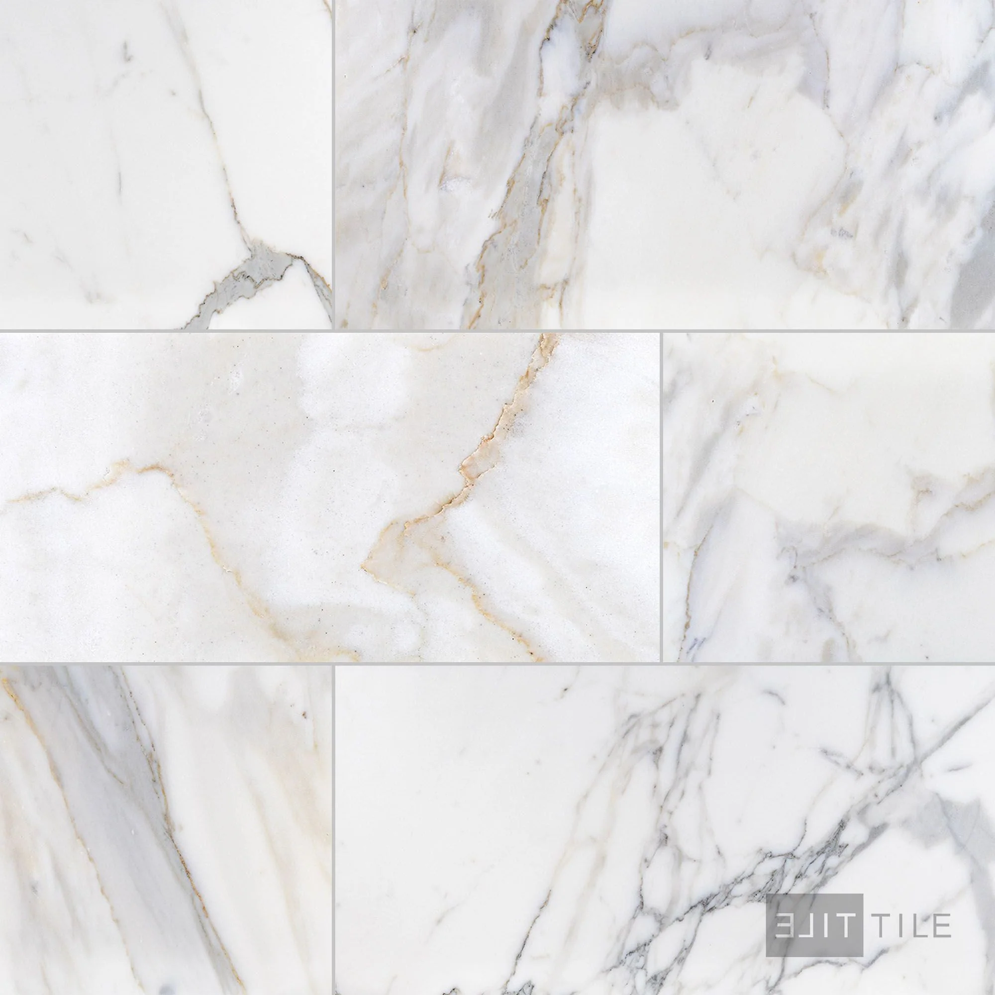 Calacatta Gold Marble 12X24 Honed