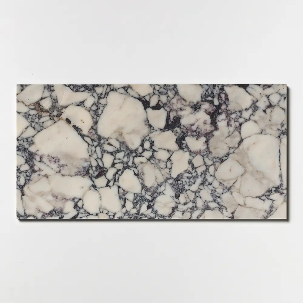 Calacatta Picasso Marble 12X24 Calacatta Picasso Honed
