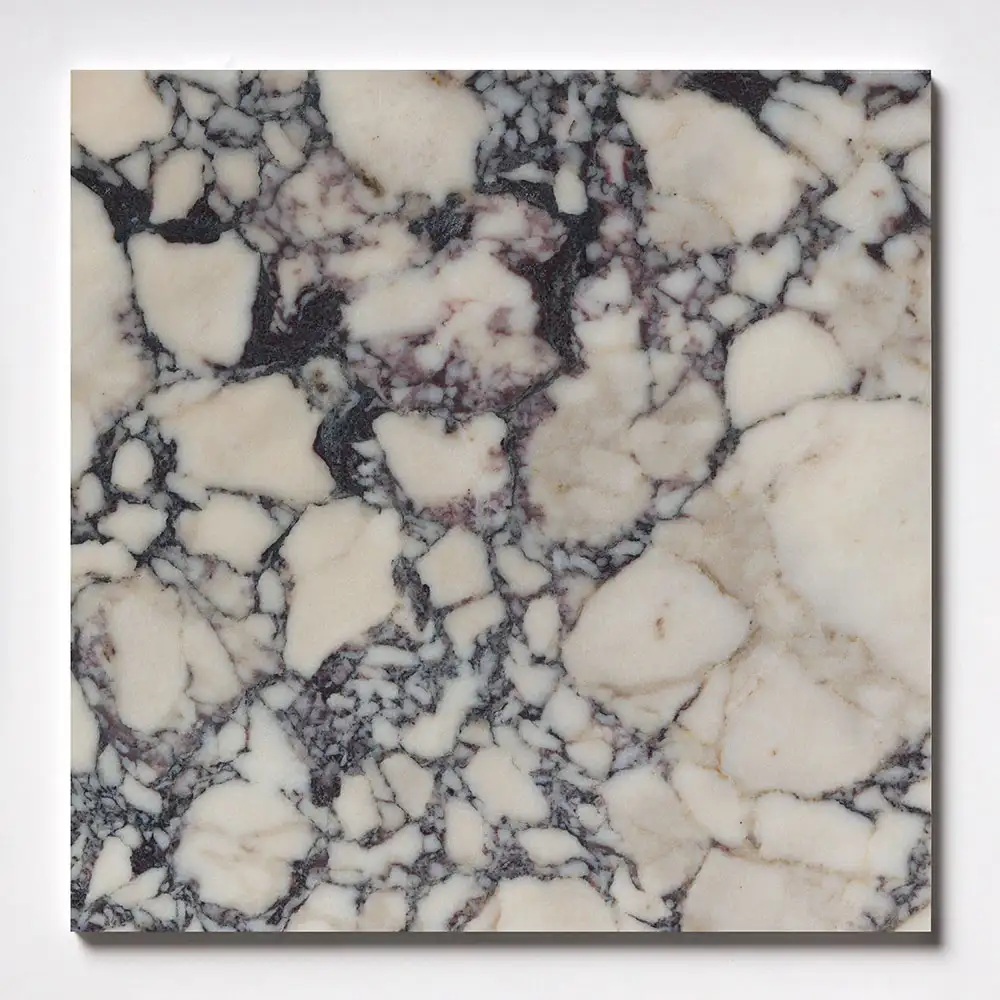 Calacatta Picasso Marble 18X18 Calacatta Picasso Honed