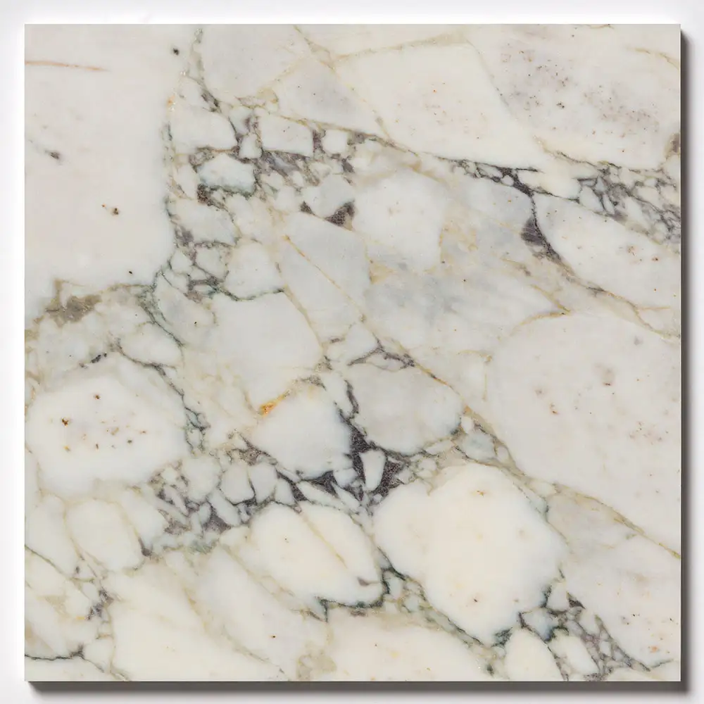 Calacatta Picasso Marble 24X24 Calacatta Picasso Honed