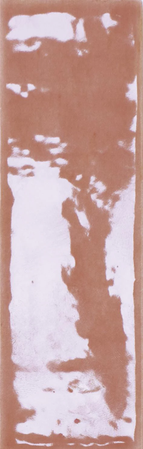 Colour Notes Glossy 1.6X5 Rosemist - Image 7