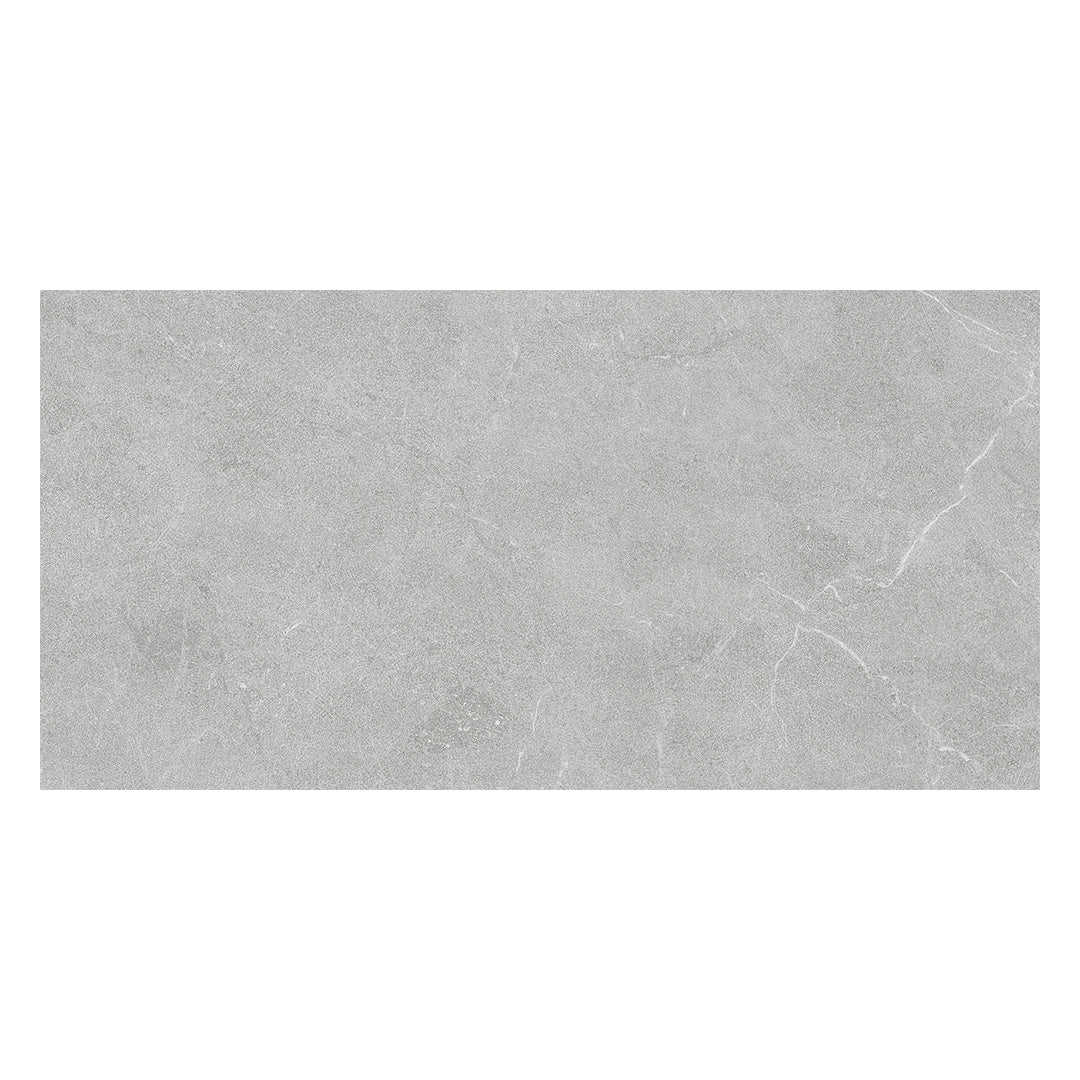 Continuum 12X24 Grey Natural - Image 3