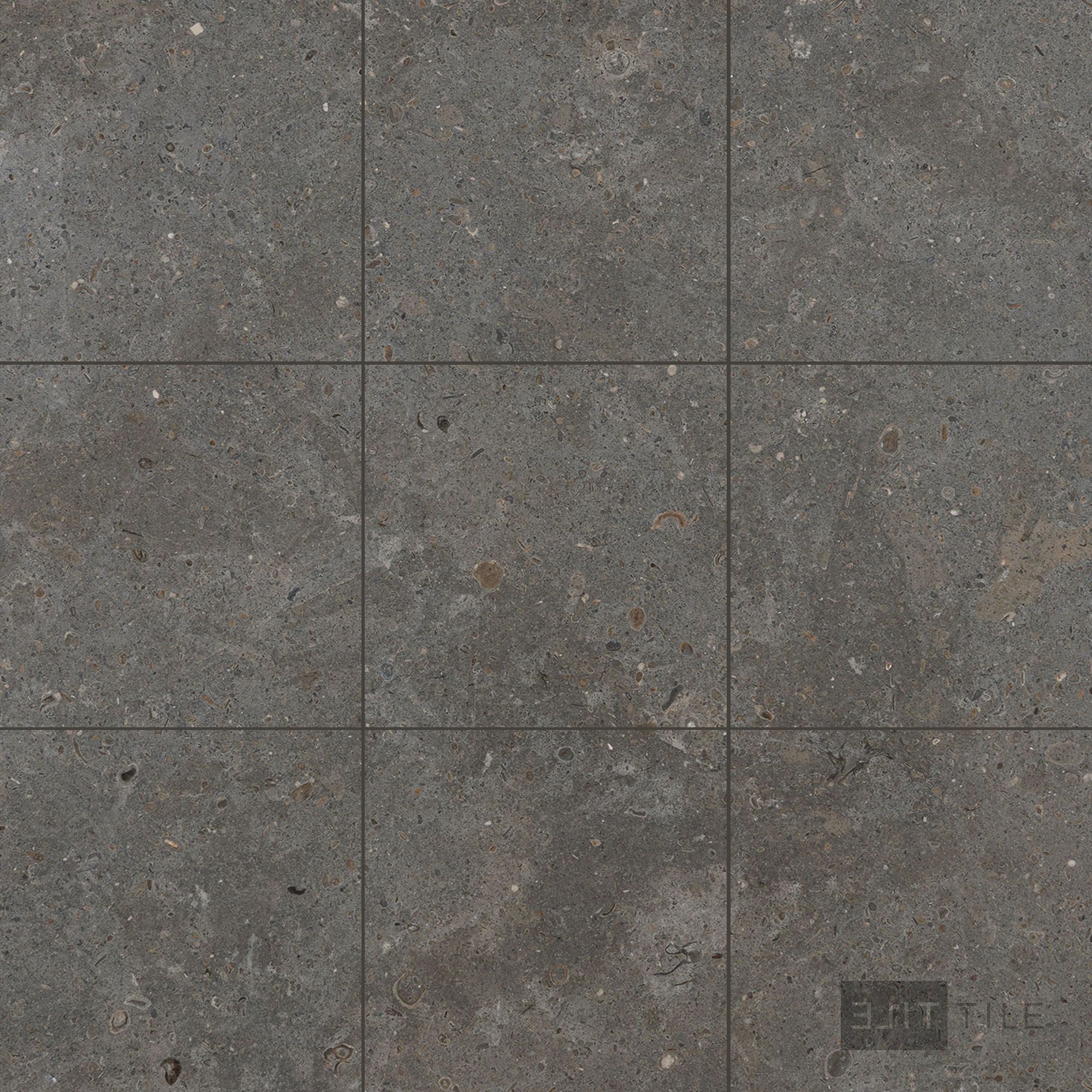 Lagos Blue Limestone 12X12 Honed