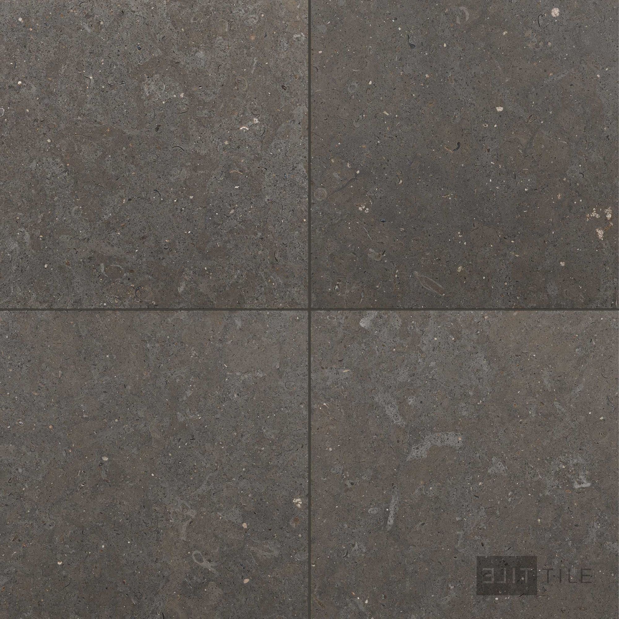 Lagos Blue Limestone 24X24 Honed