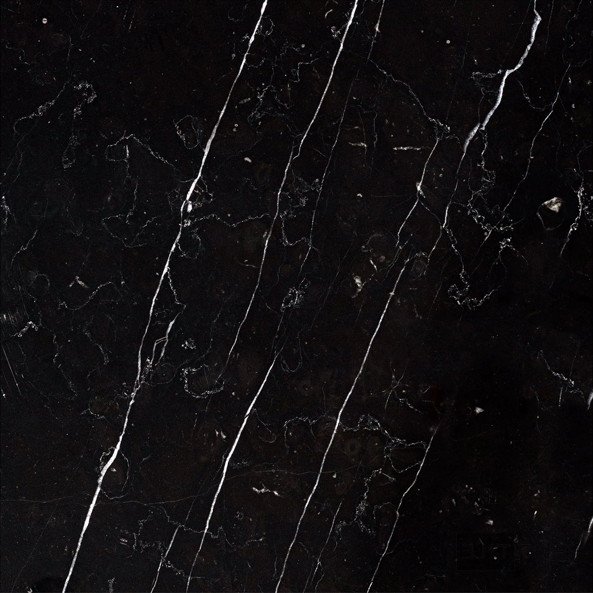 Negro Marquina Marble 12X12 Honed