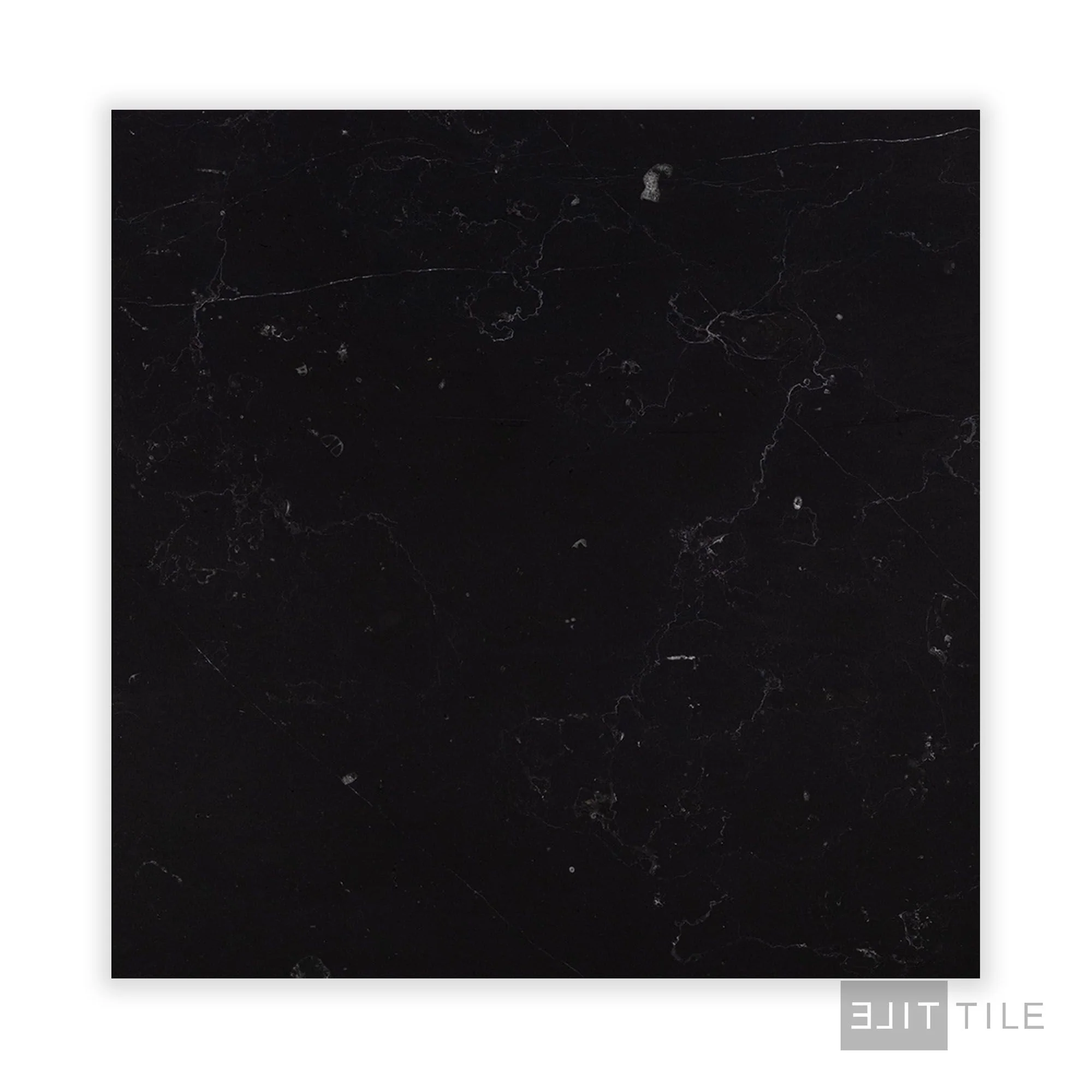 Negro Marquina Marble 18X18 Honed - Image 2
