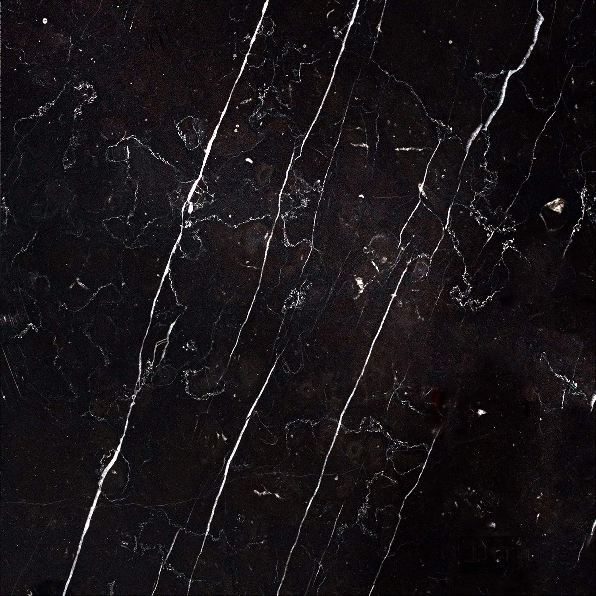 Negro Marquina Marble 12X12 Polished