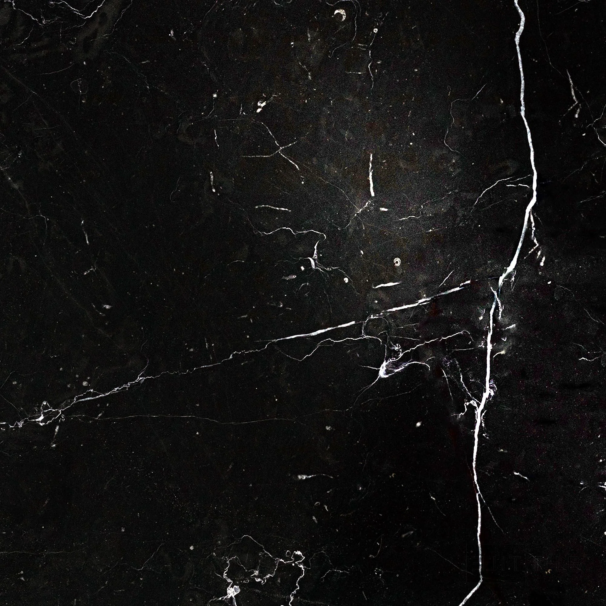 Negro Marquina Marble 18X18 Polished