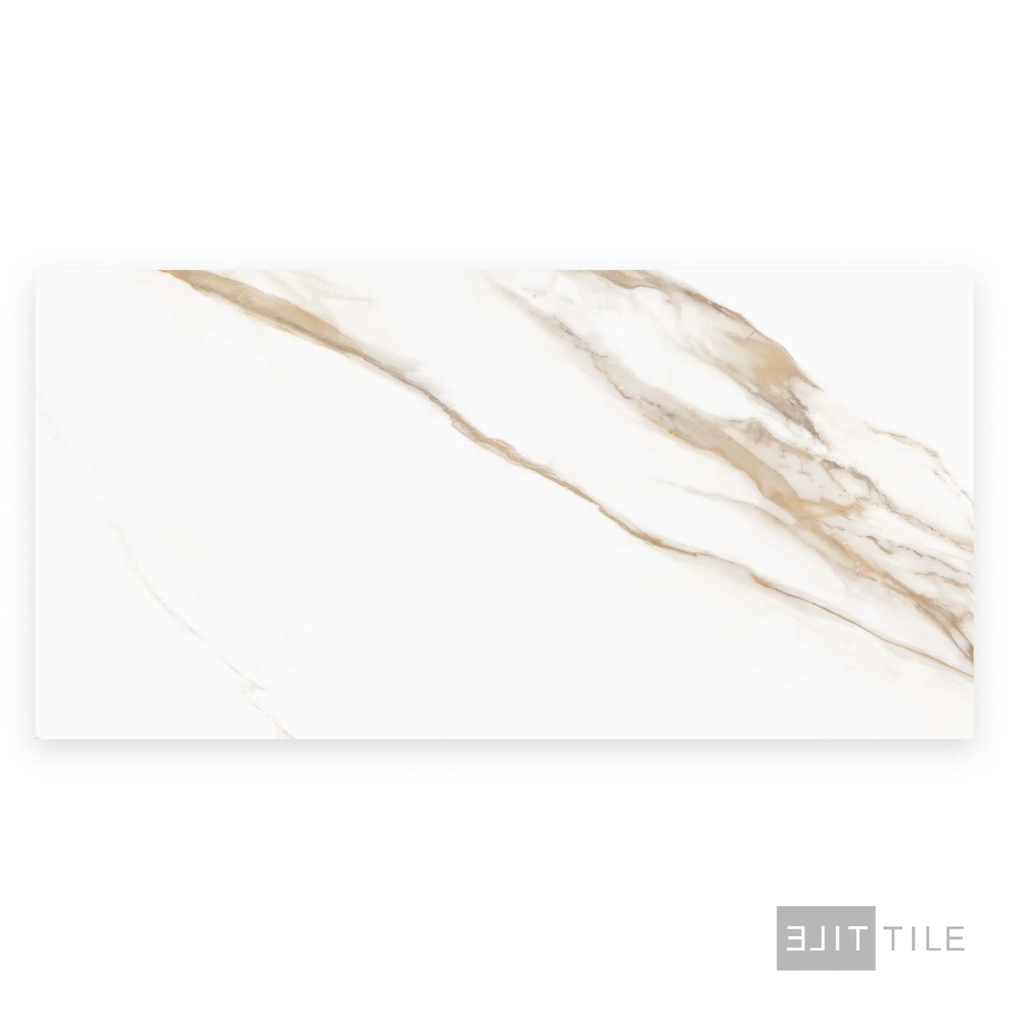 Prestigio 24X48 Calacatta Oro Matte - Image 3