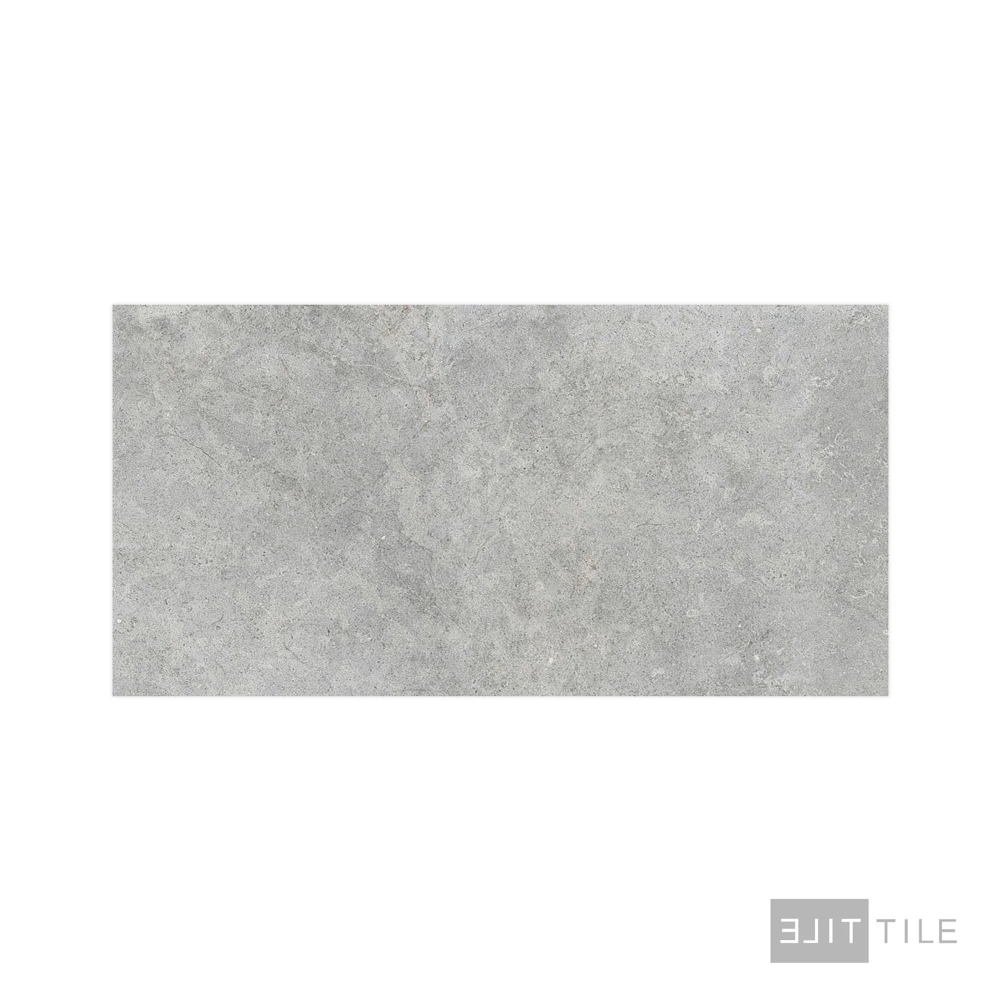 Richmond Tile 24X48 Silver Matte - Image 2