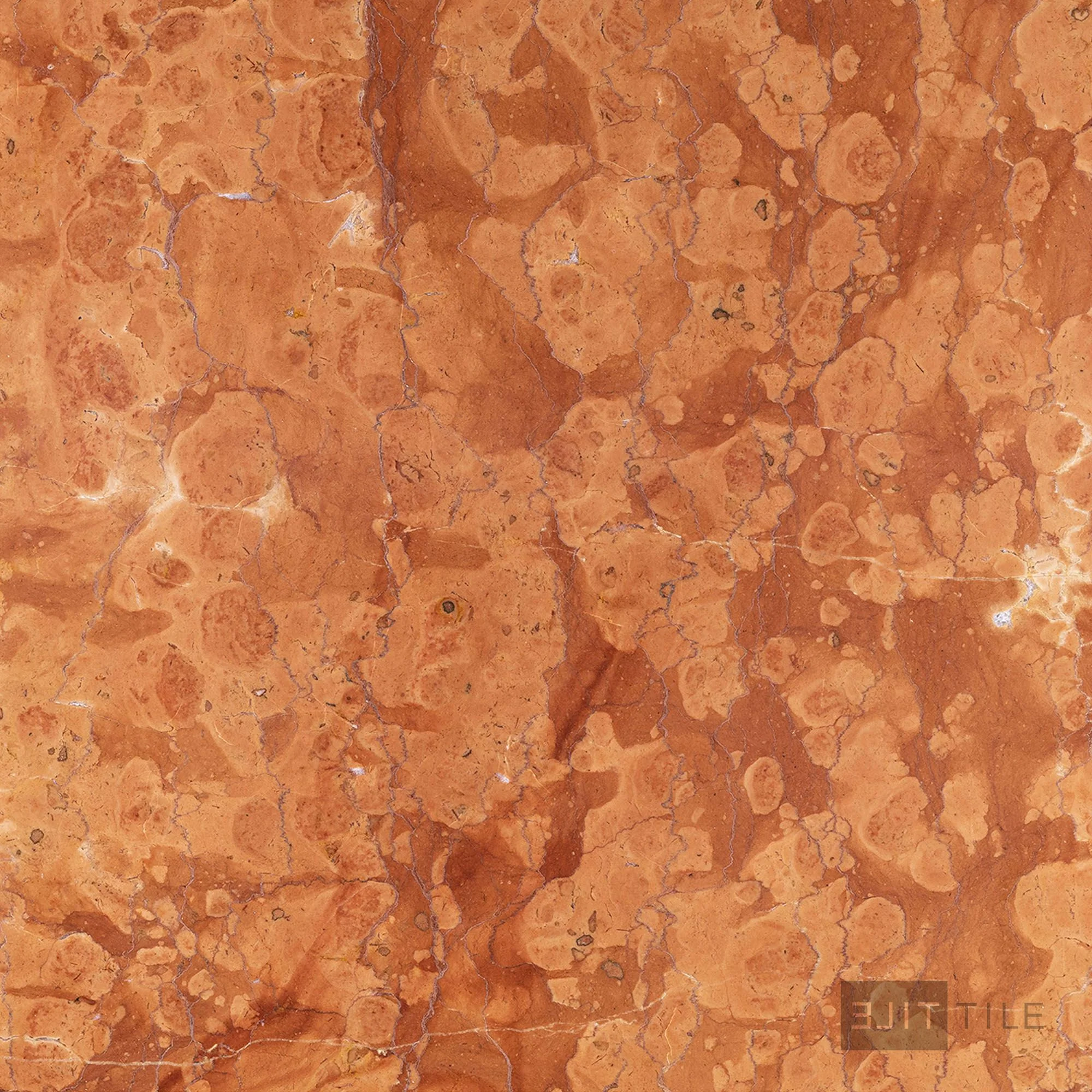 Rosa Verona Marble 12X12 Polished