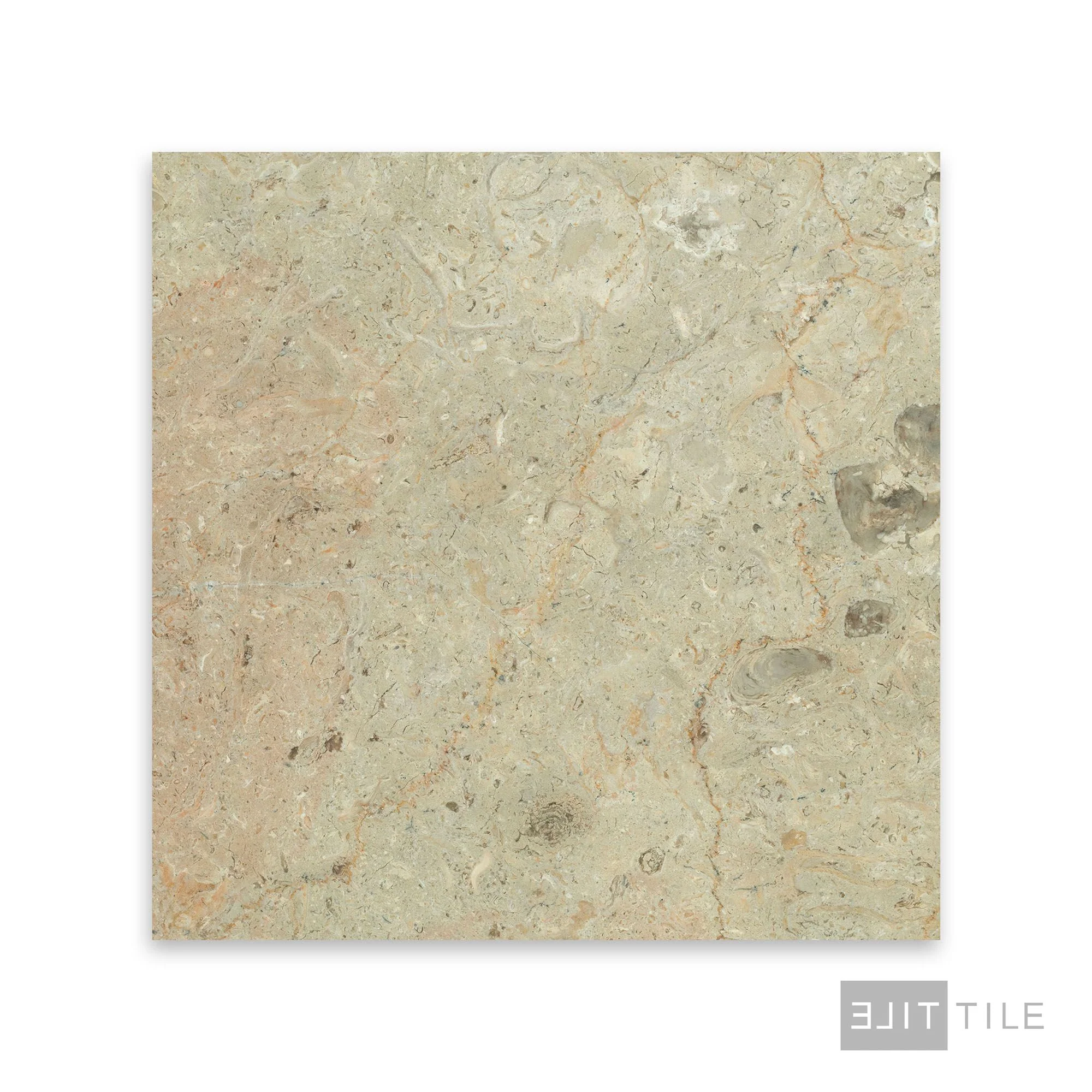Sahara Gold Marble 12X12 Honed - Image 3
