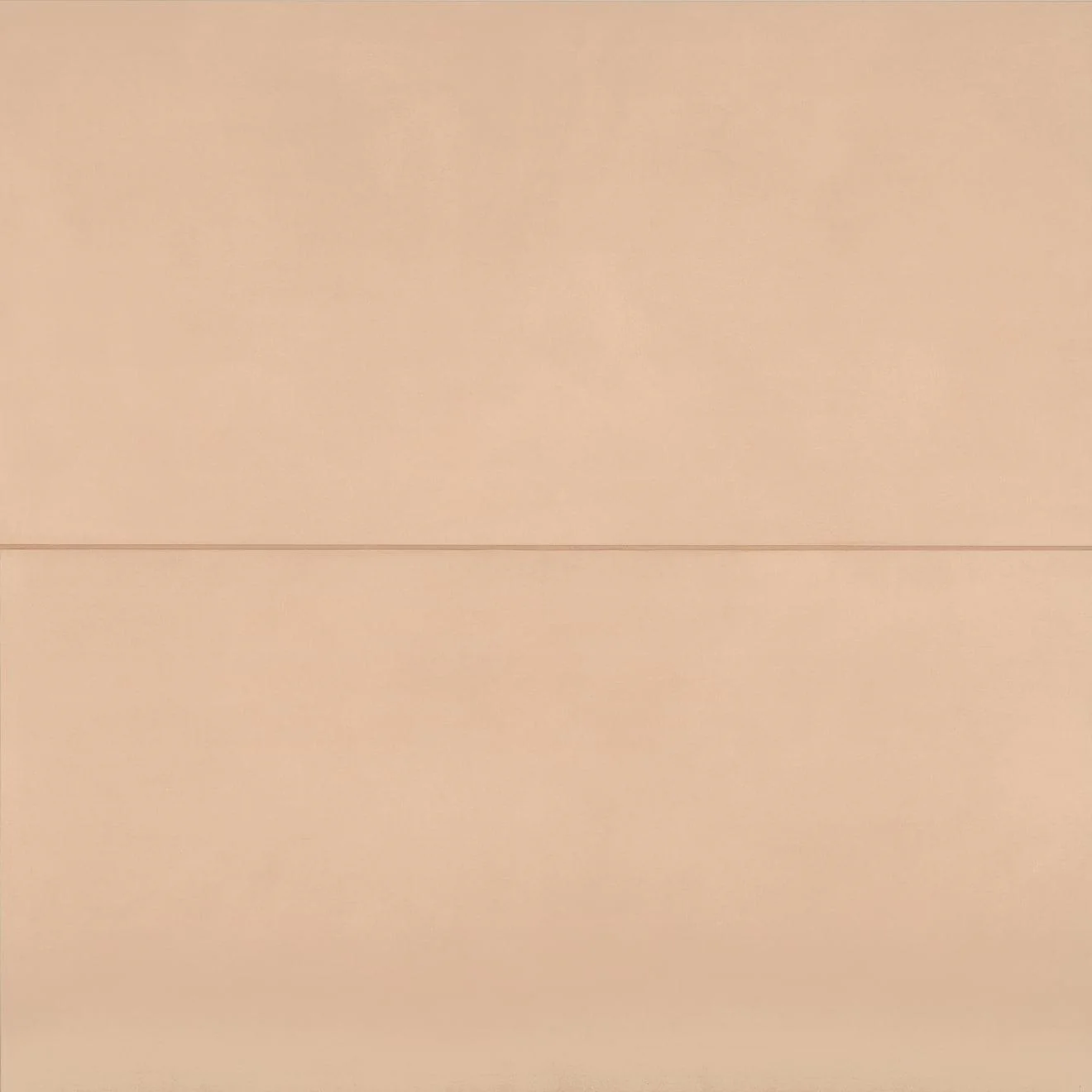 Sahara Matte 24X48 Rose