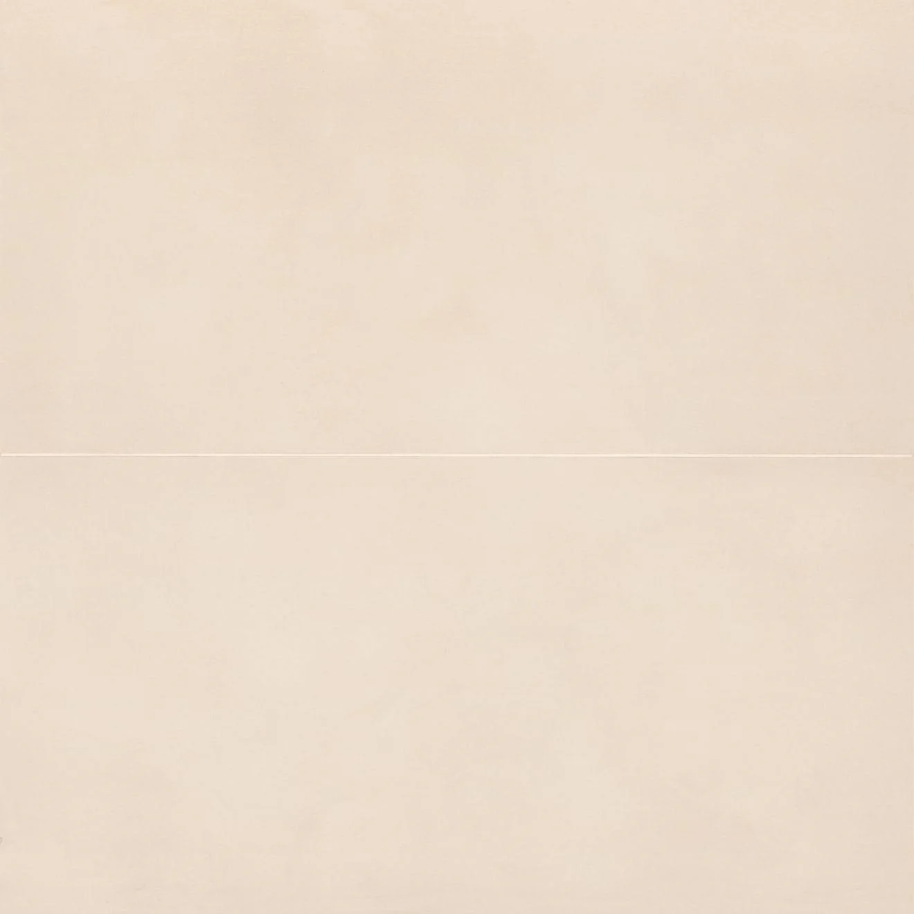Sahara Matte 24X48 White