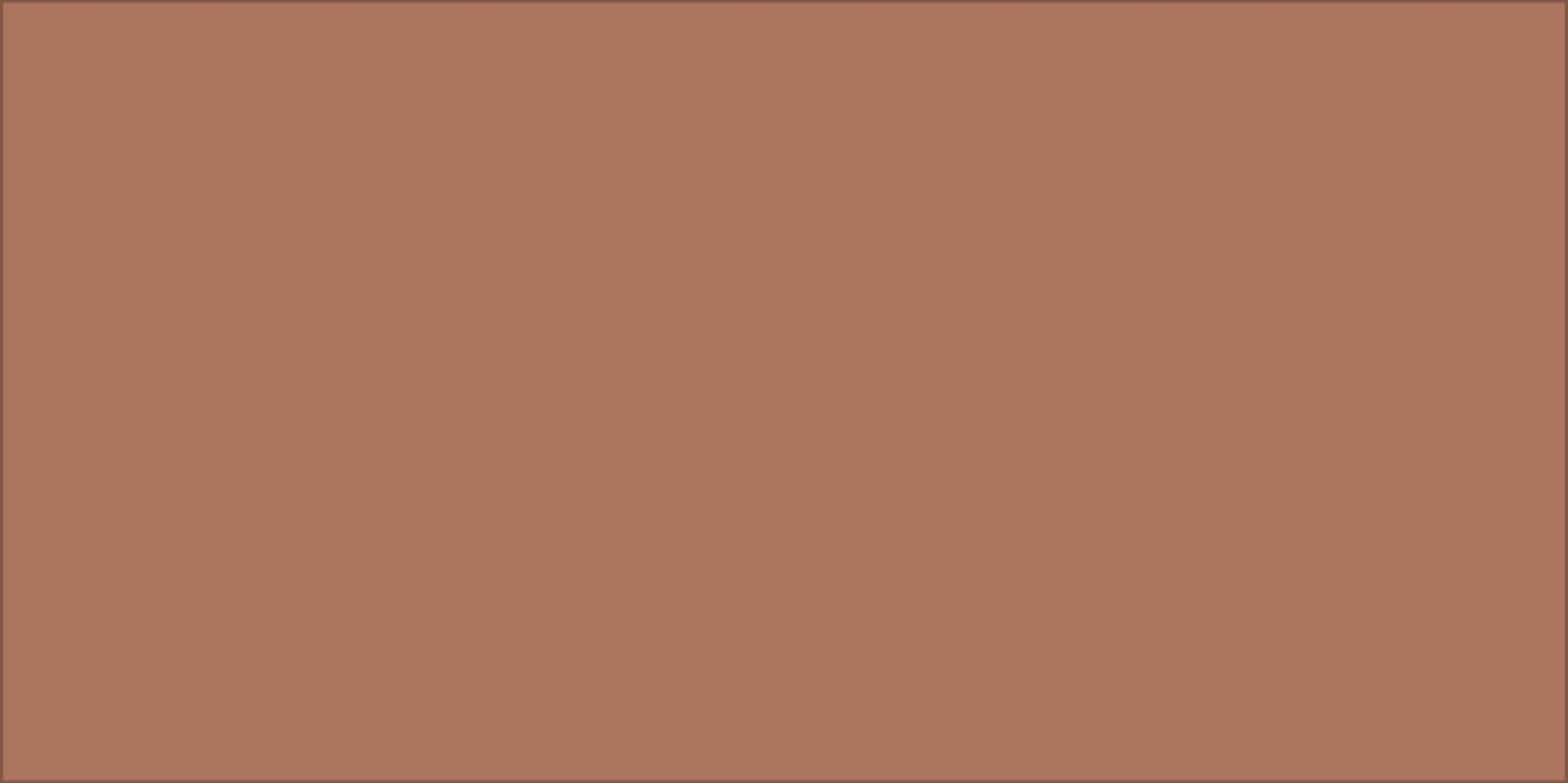 Solid Matte 5X10 Cotto