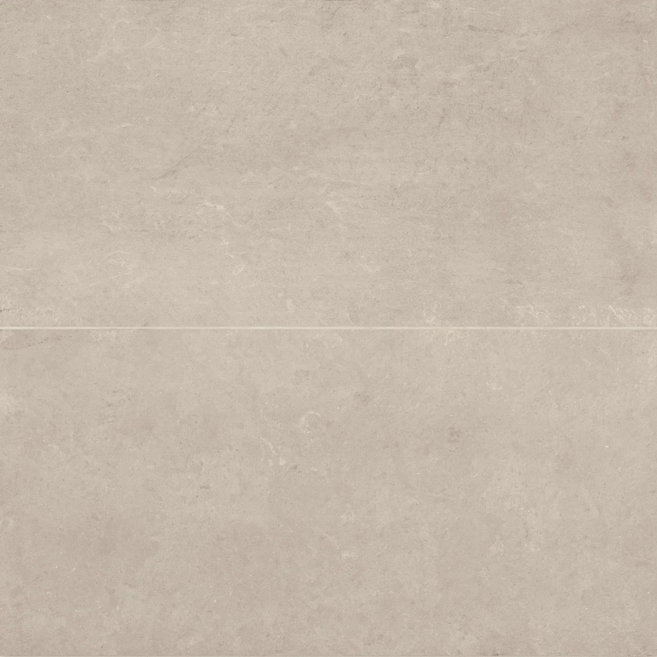 Thaddeus Matte 24X48 Almond R11