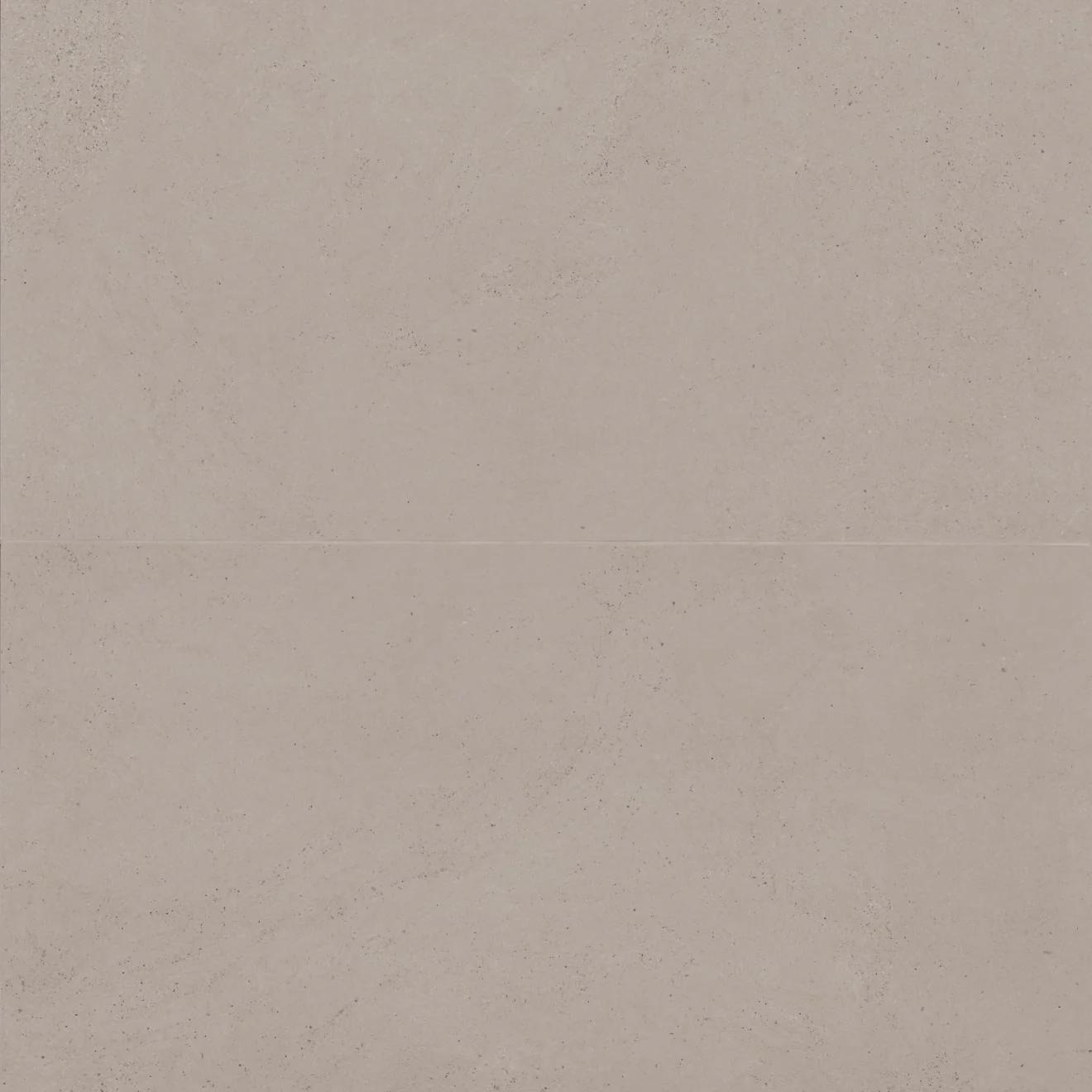 Thaddeus Matte 24X48 Taupe R11