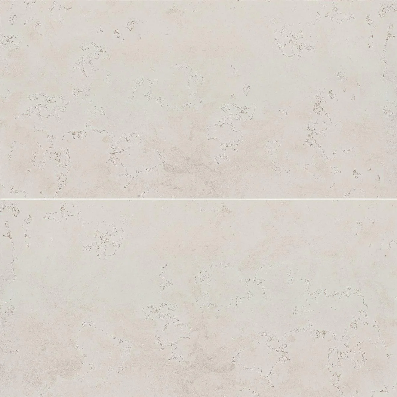 Thaddeus Matte 24X48 White