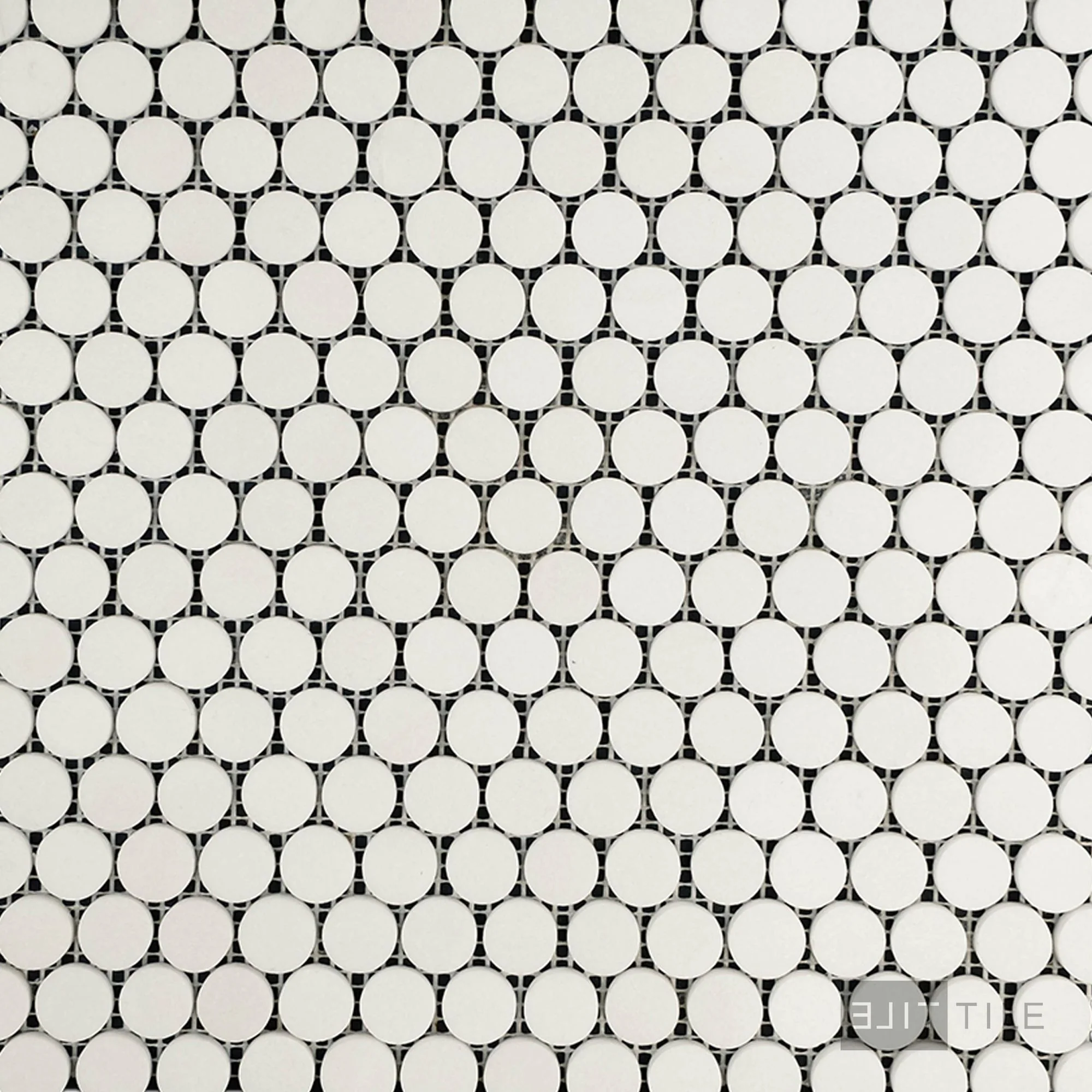 Thassos White Marble Penny Round Polished Mosaic